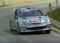 1 Peugeot 206 WRC Travaglia - Zanella (5)